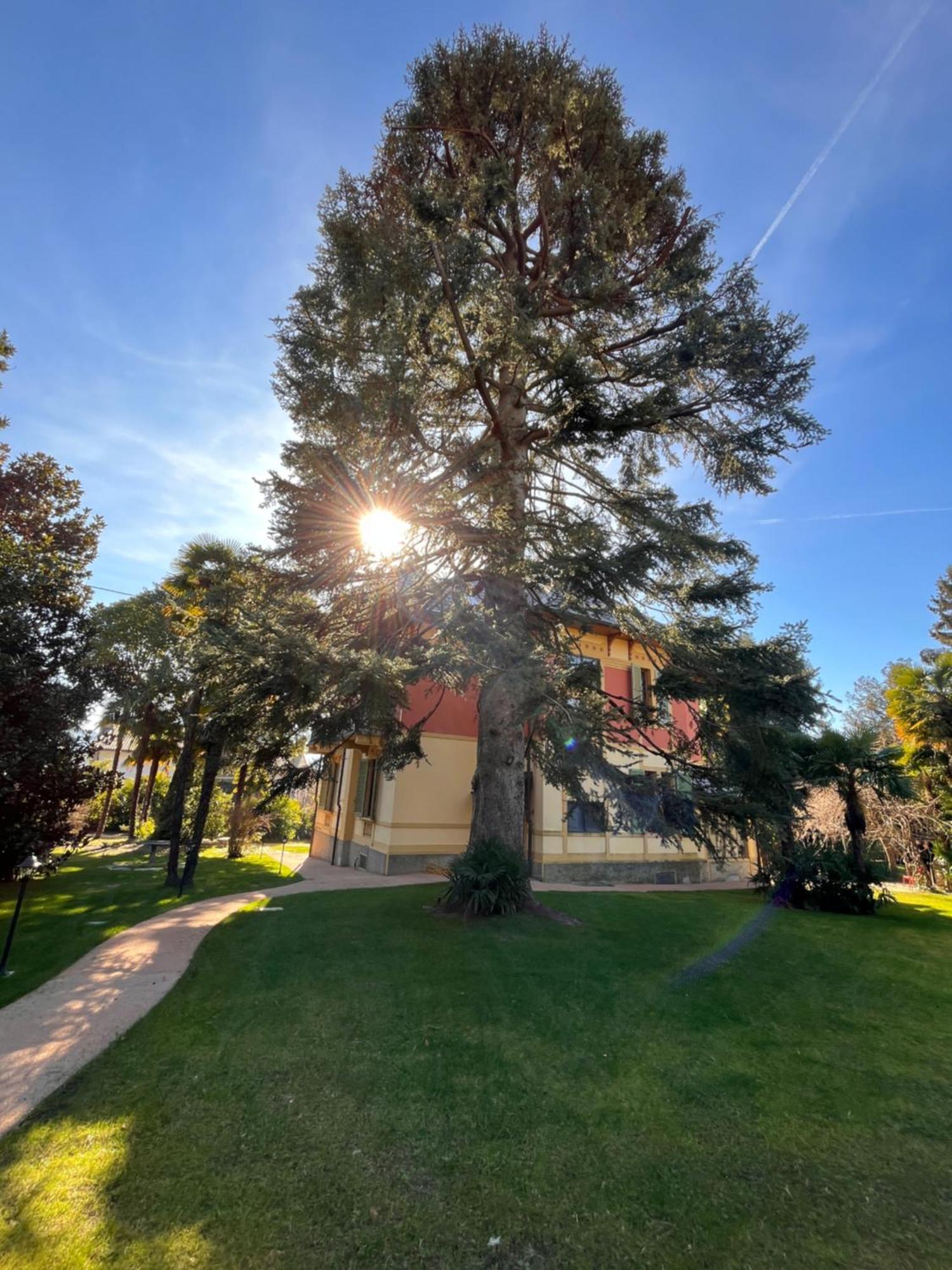 Villa Del Castanar Maccagno Exteriér fotografie